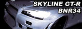 SKYLINE BNR34