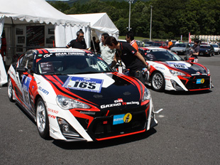 Fuji 86 Style 2012